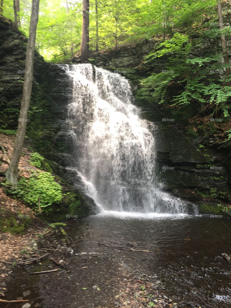 Waterfall, Water, Nature, Wood, Stream