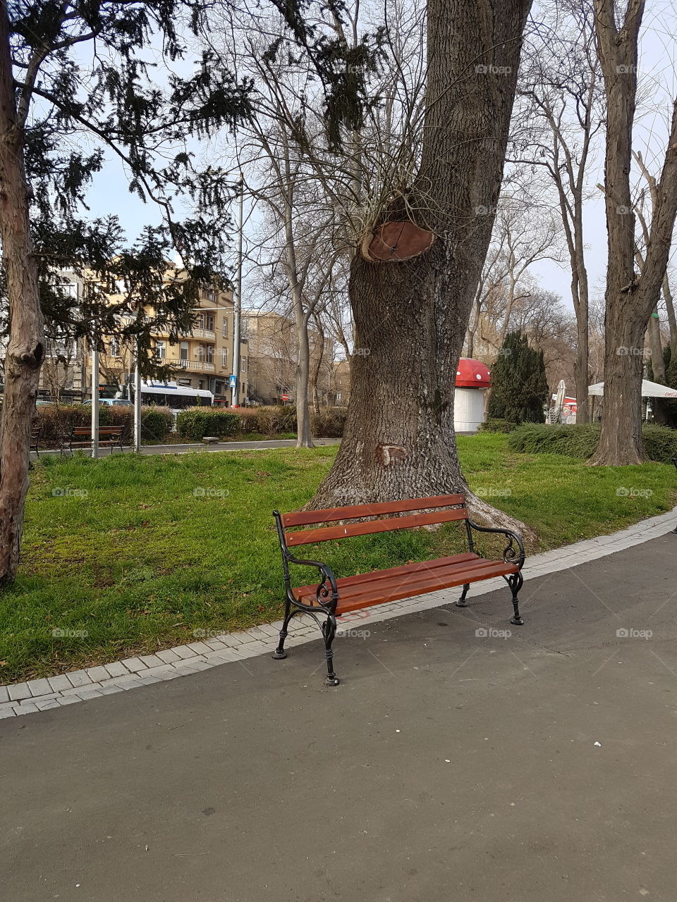 Bench in the sea garden