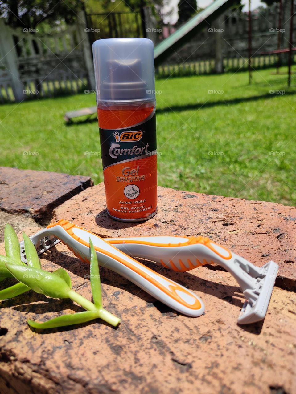 Shaving cream and razors