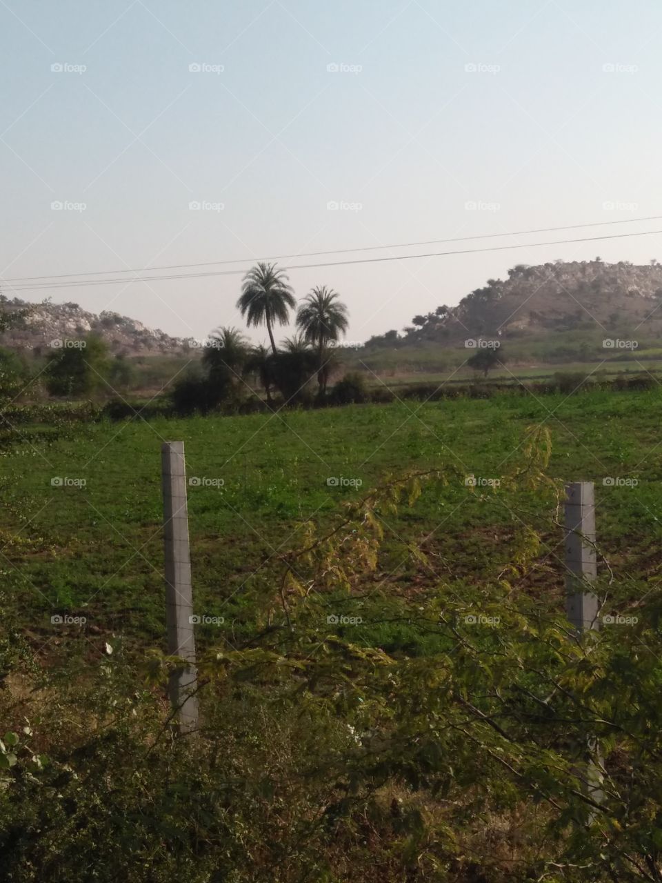 village nature image