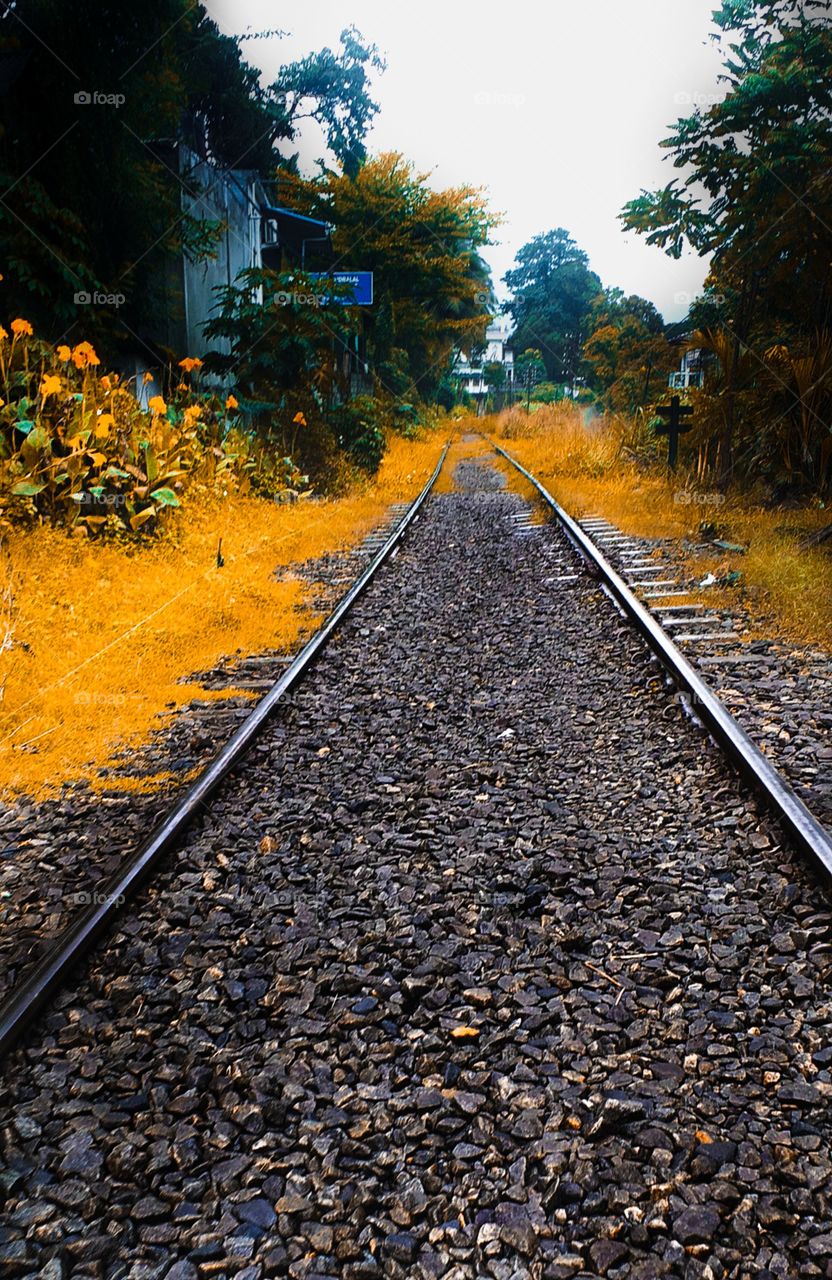 beautiful railway track with yellow environment