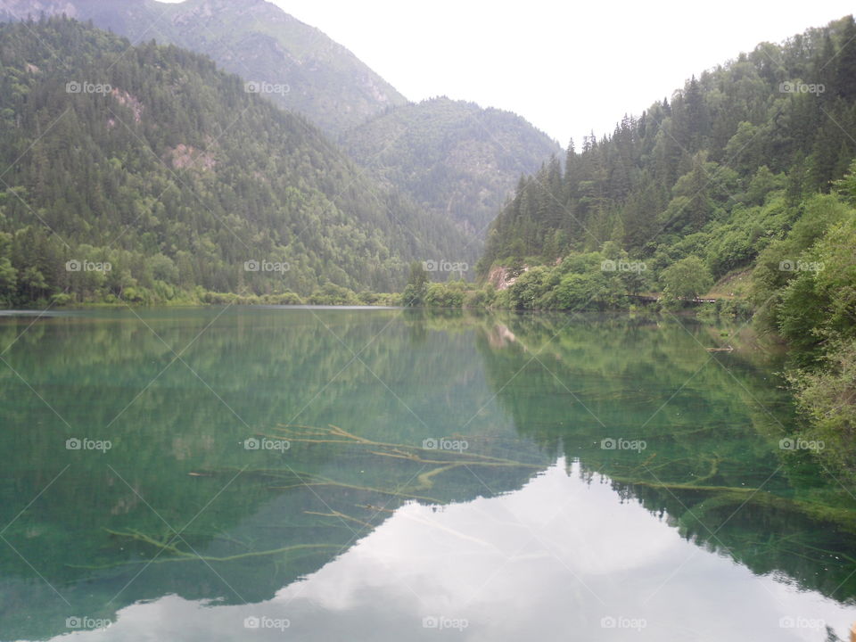 Green mountain reflecting on lake