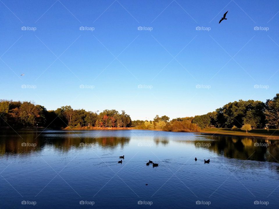 Autumn lake