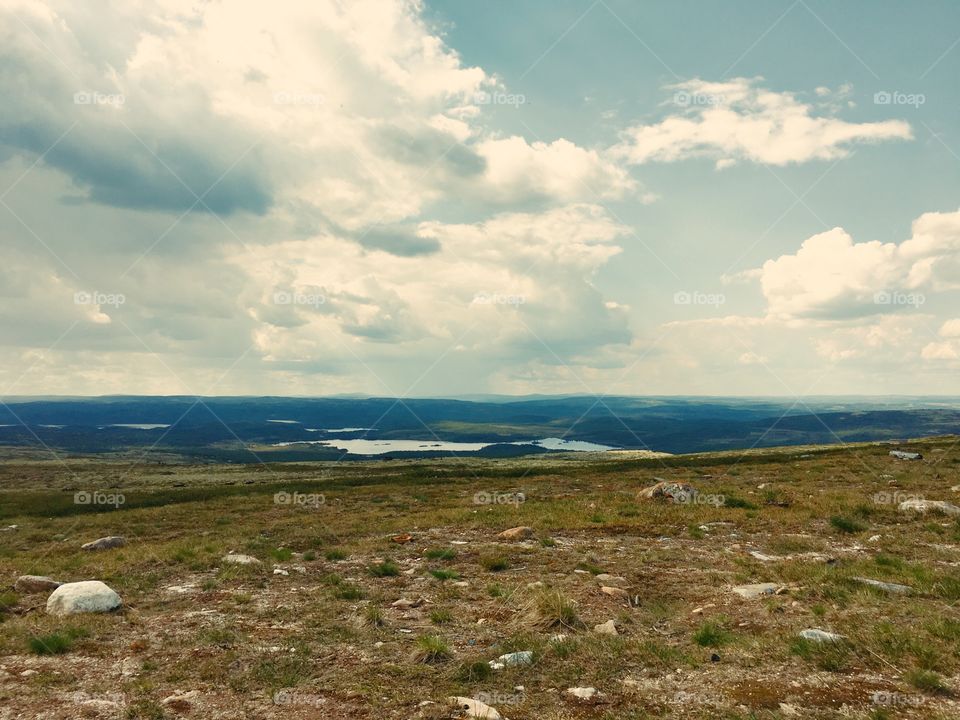 Tundra landscape 