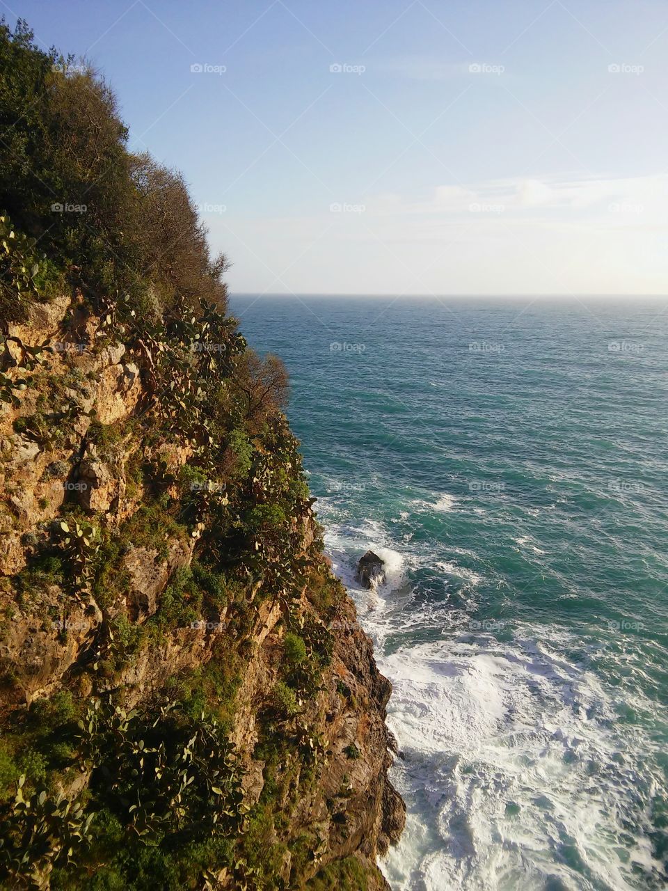 Sea ​​cliff