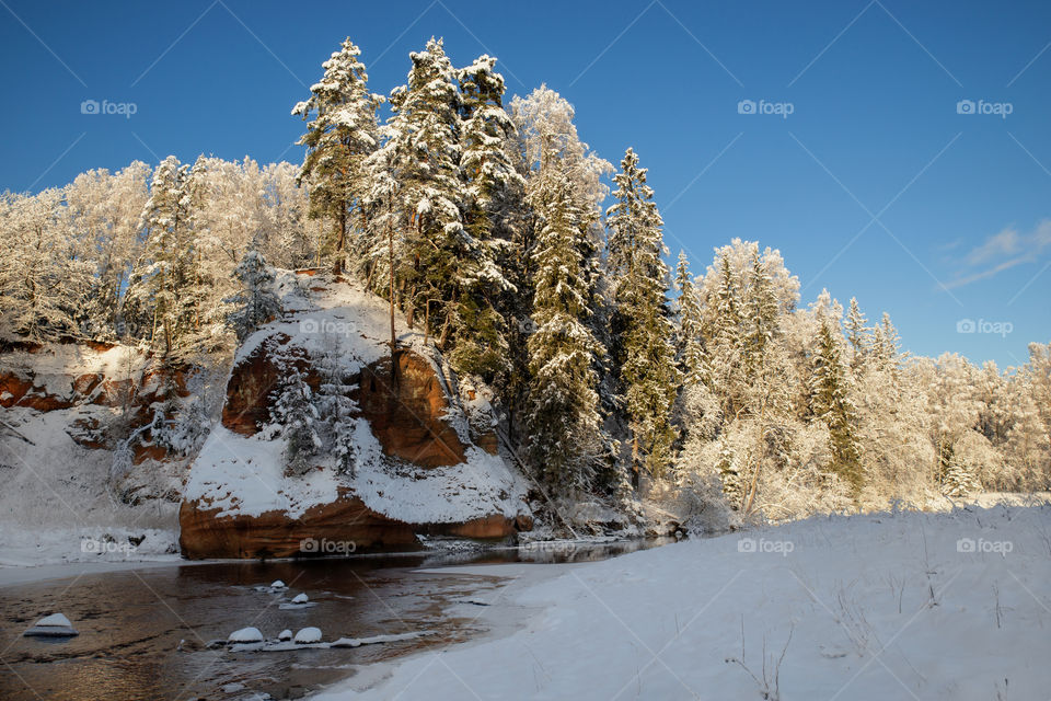 Winter. Snow. Forest. River.