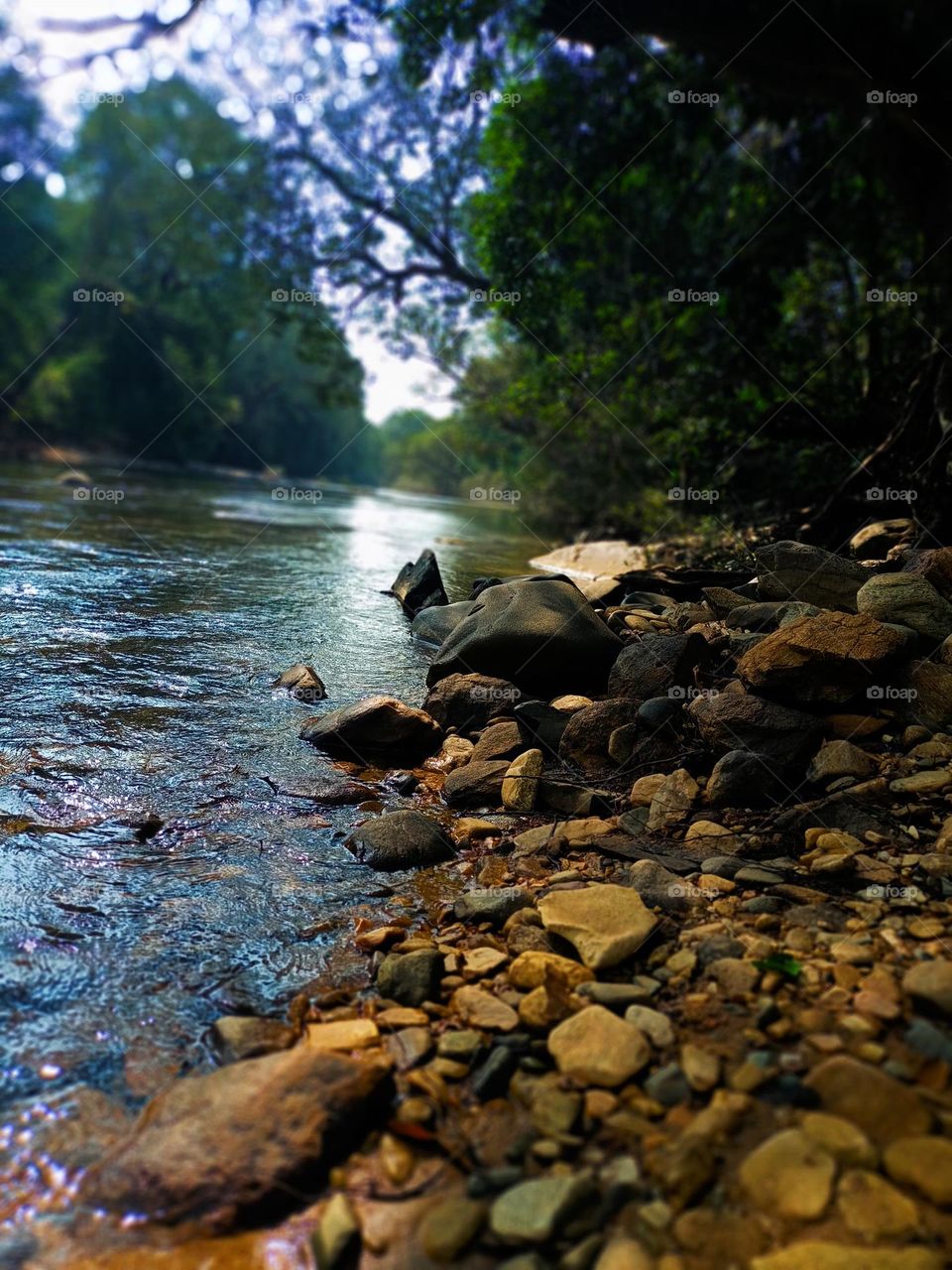 Beautiful view of forest river nice colour full rock's nice place for enjoying holidays pin drop silence