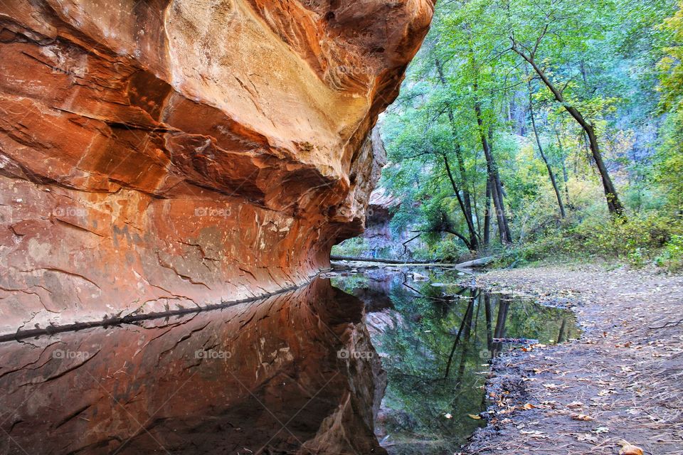 Reflection of mountain and tree trunk