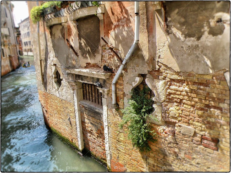 Damaged wall at canal, Venice