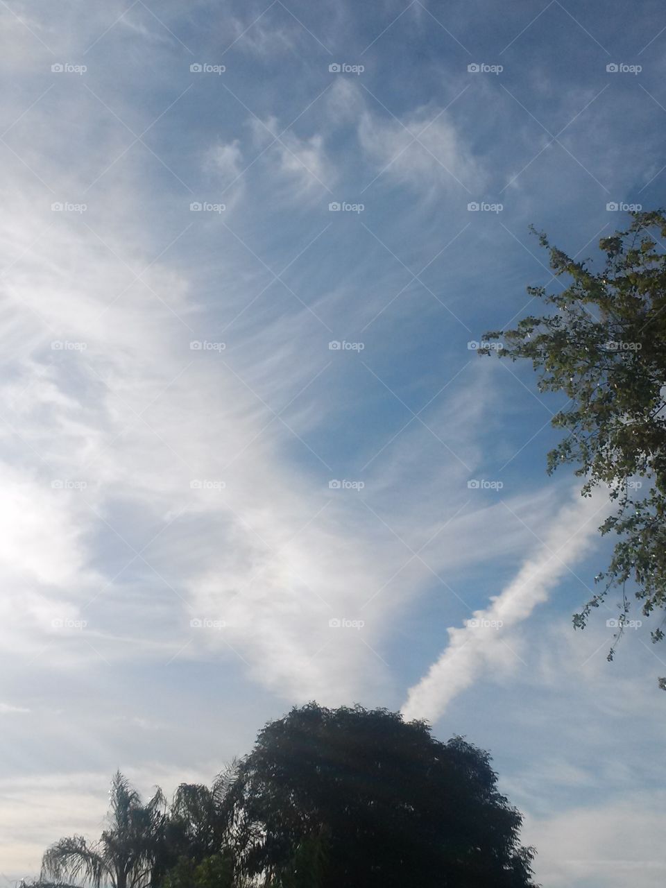 White Feather Clouds,with Image as Clear , Trees are Accenting A Picture that could be Breathtaking