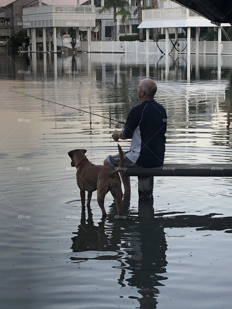 Very high tide at the bay house in Texas! So high it looks like they’re walking/sitting on top of the water trying to catch some fish 🎣