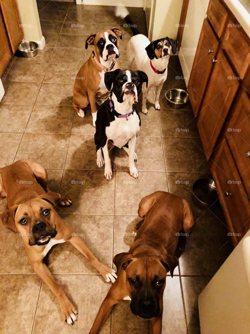 Ready for that treat