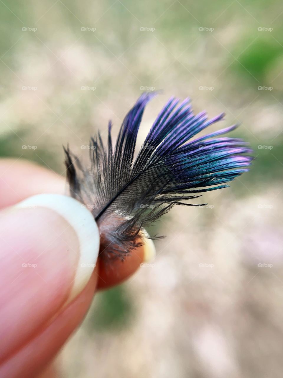 A lady holding a fallen feather.