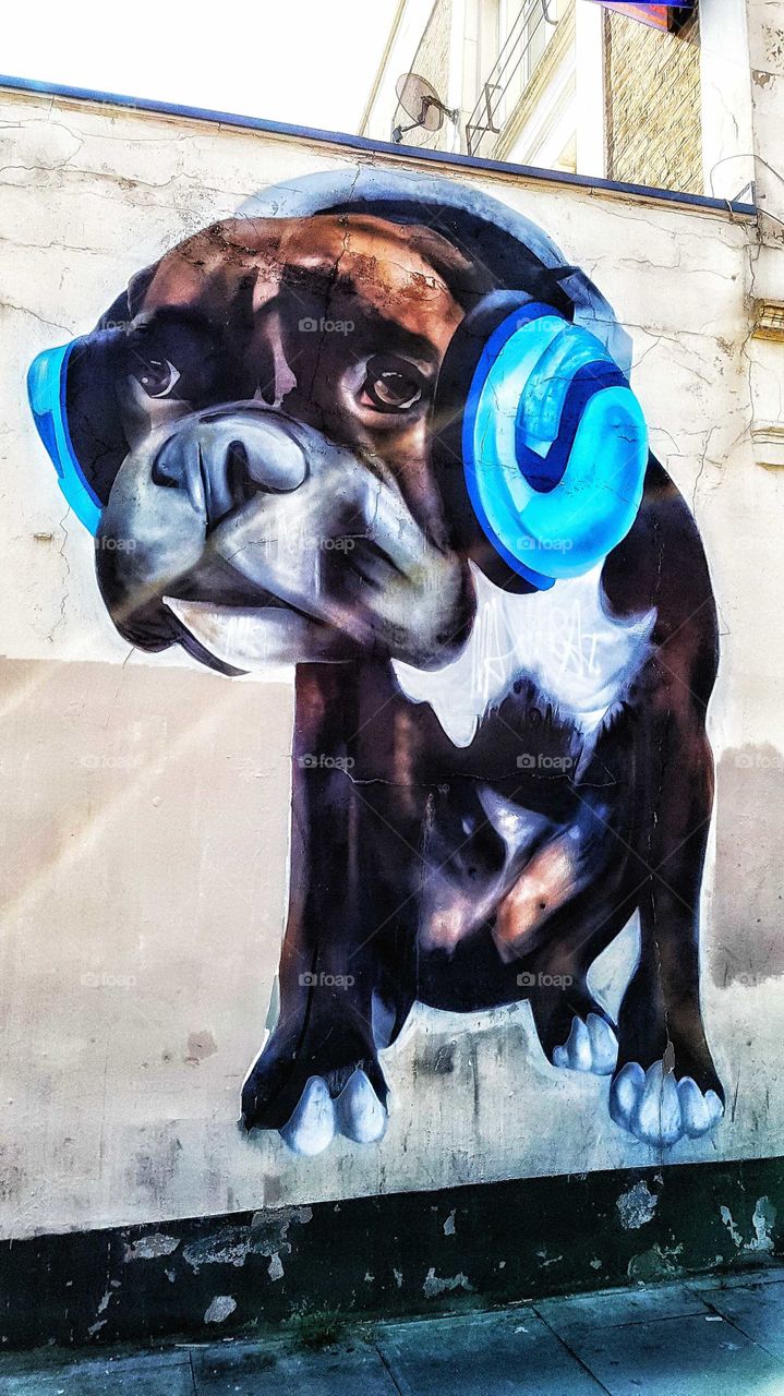 Cute doggy into music. Probably rap? Just my idea.
