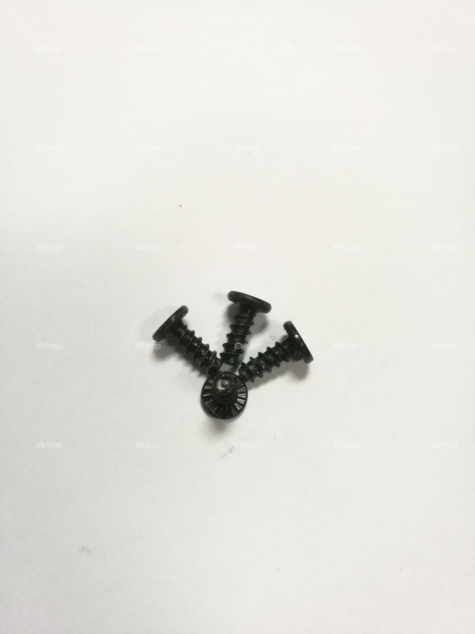 Black screw on a white background