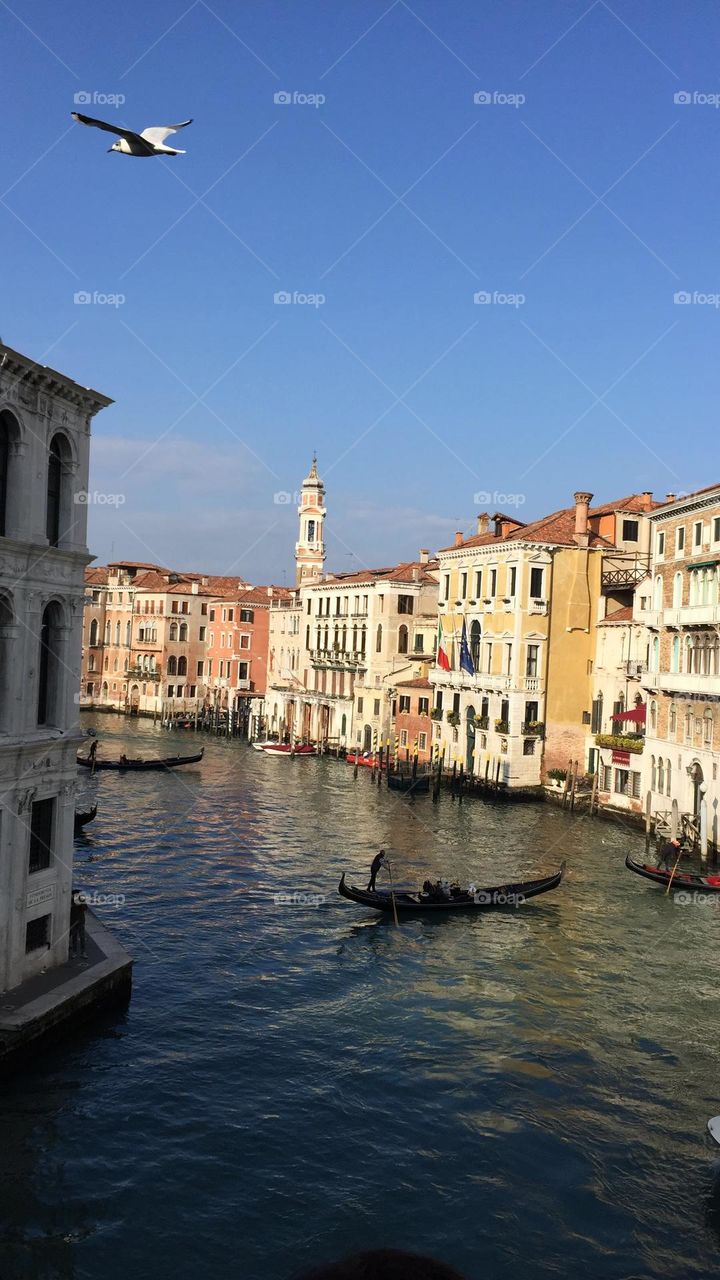 Venezia 