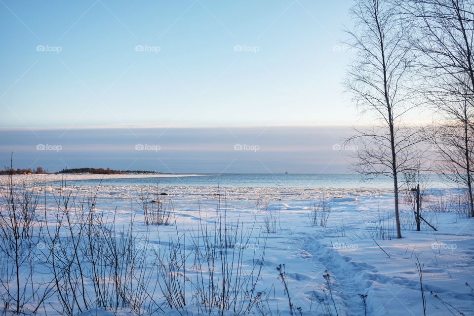 Winter, Snow, Landscape, Frost, Cold