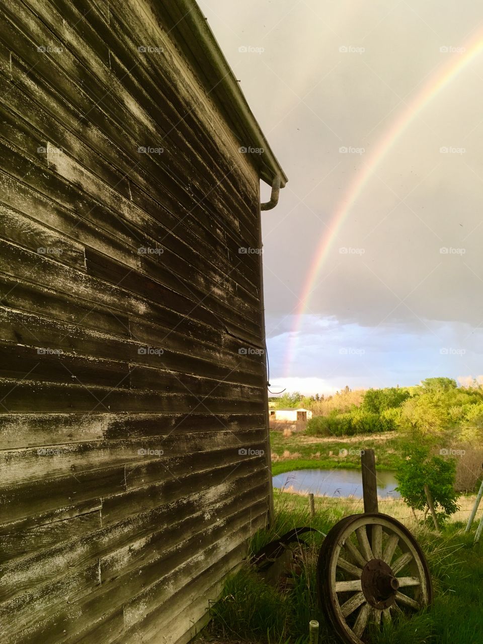 Old wood and rainbows 