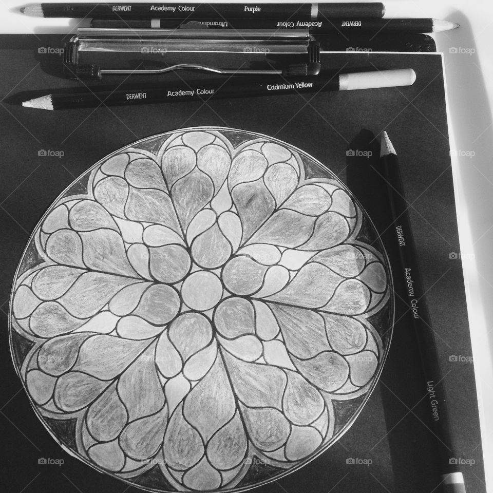 Dear went Academy Colors