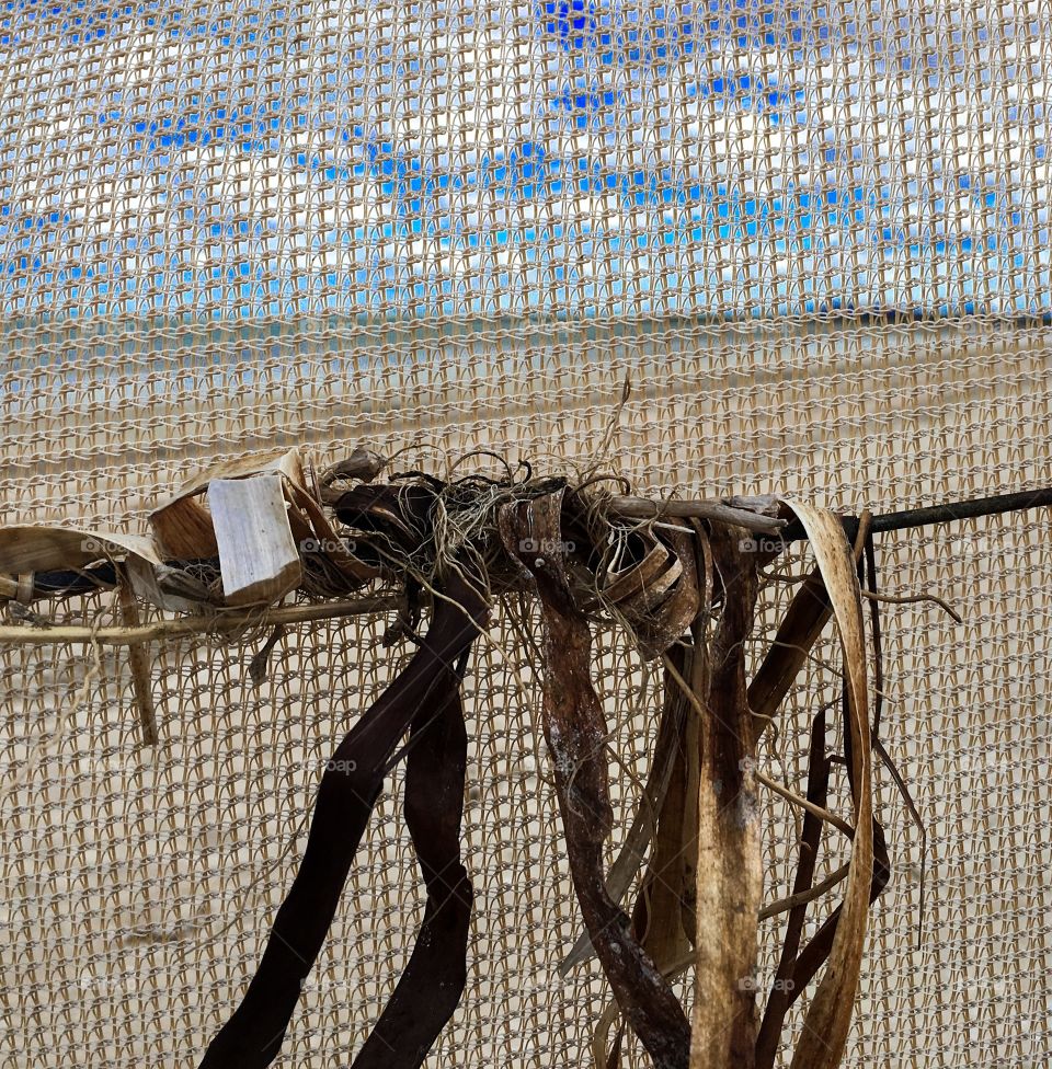 Sand barrier screen on beach, seaweed, closeup, background image, south Australia, Whyalla Foreshore