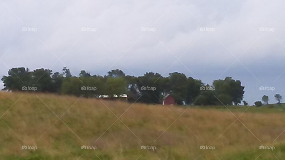 Landscape, Agriculture, Farm, Tree, Field