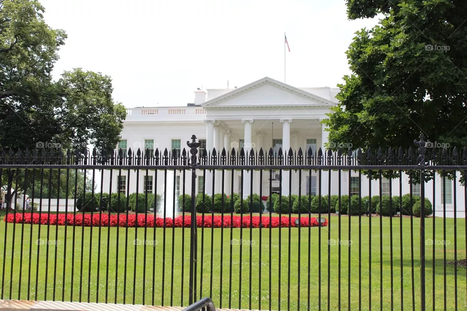 D.C.