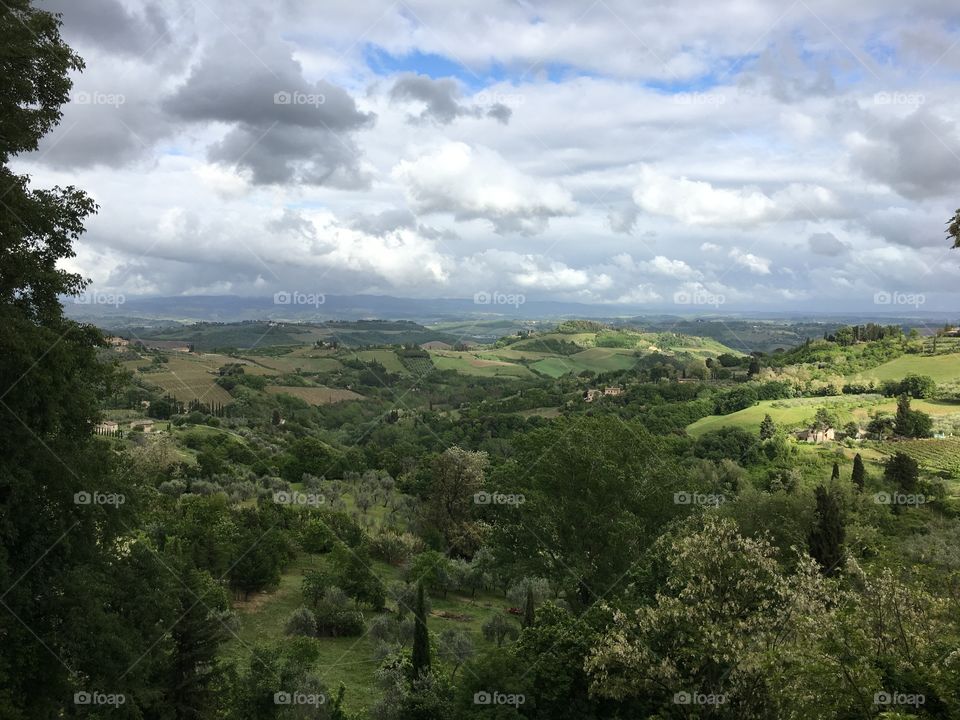 Hills around Siena, Italy 