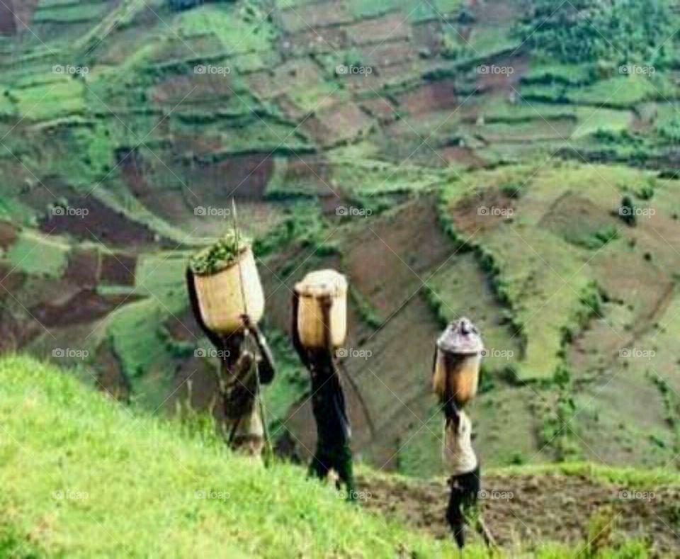 Workers from my Garden in Busaro hills, Kisoro in Uganda