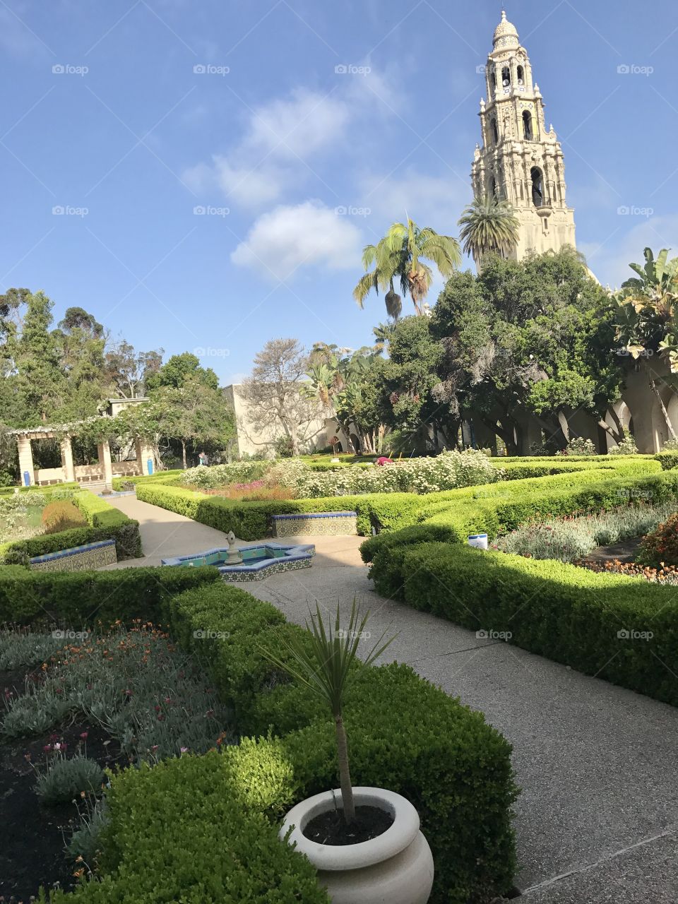 Beautiful Balboa ♥️