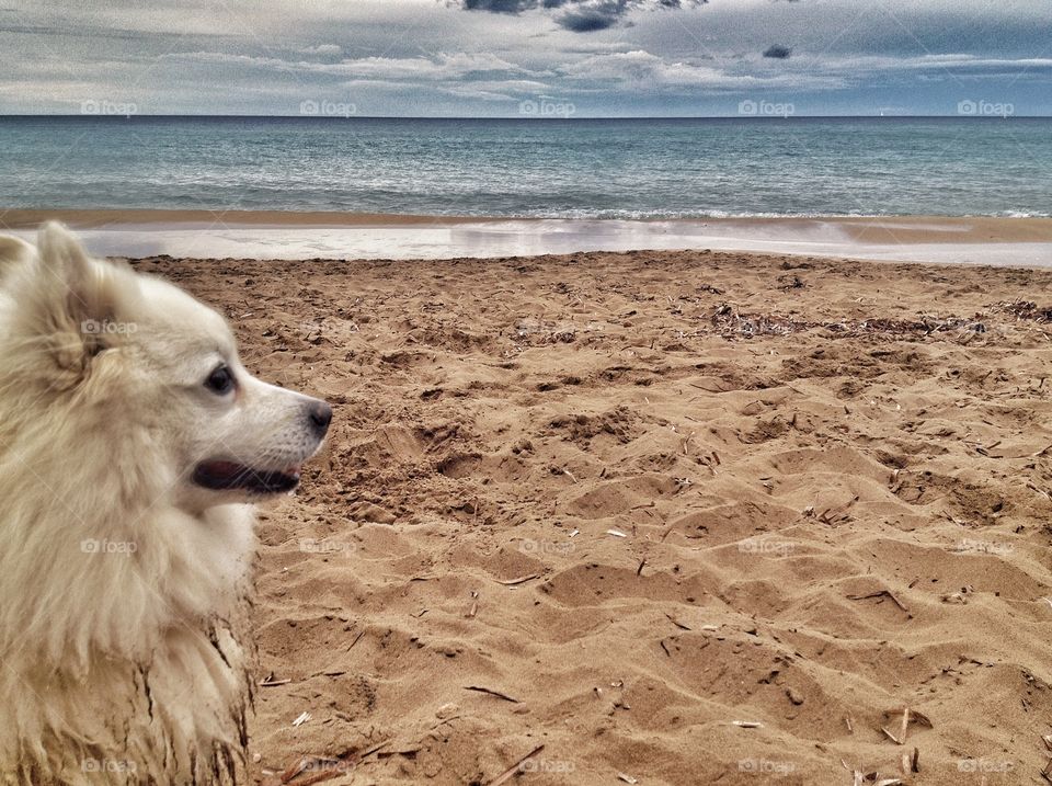 Jake on the beach