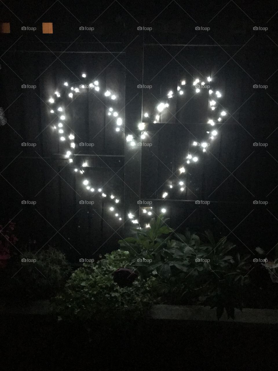 Heart lights 
