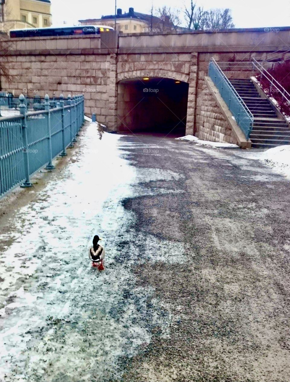 Roadtrip with my bff, active duck leading the way