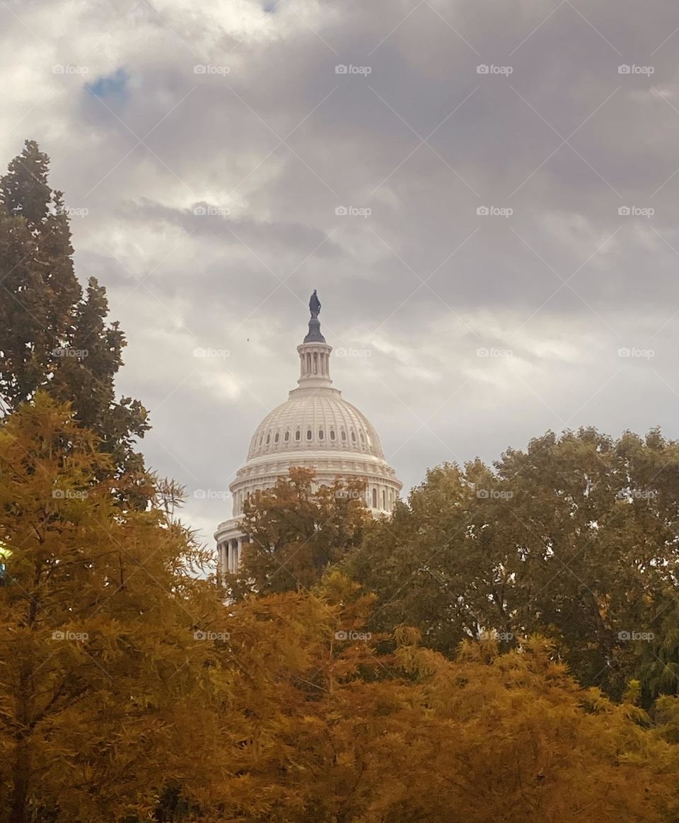 Our nation’s capital dome in Washington DC is visible above the autumn tree line below gray skies. 