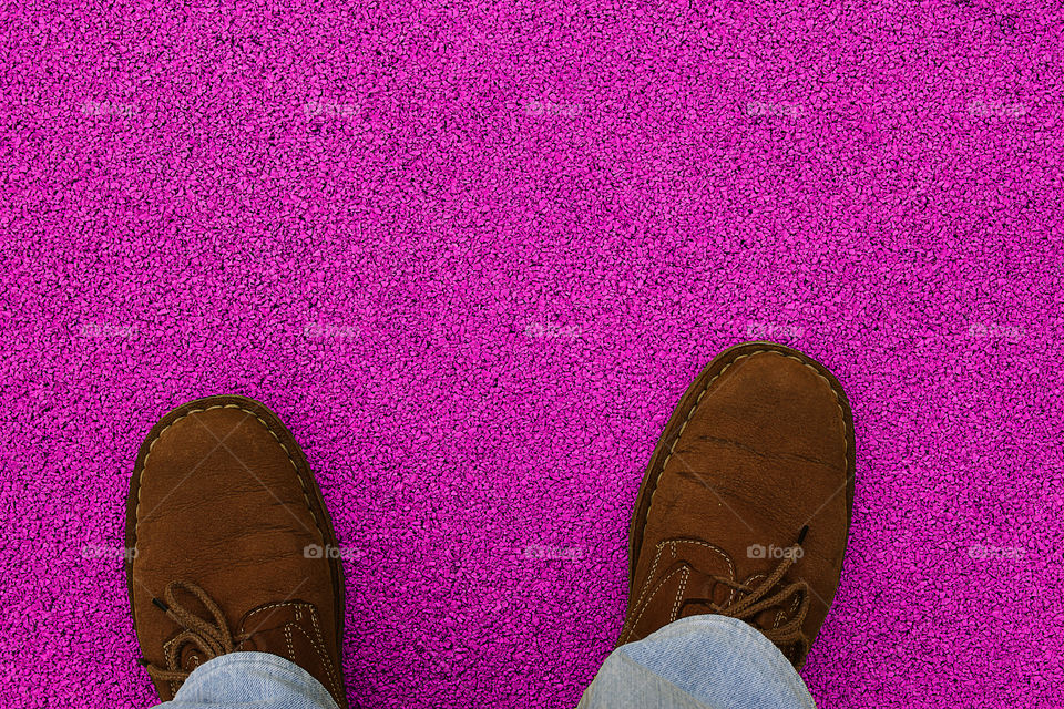 From where I stand ... purple