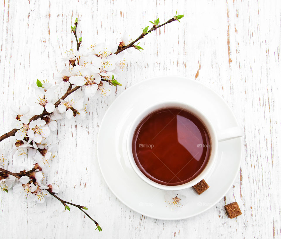 Cup of tea and spring blossom 