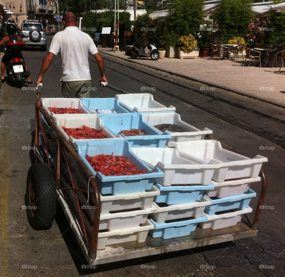 port soller trolley fisherman mallorca by salsa