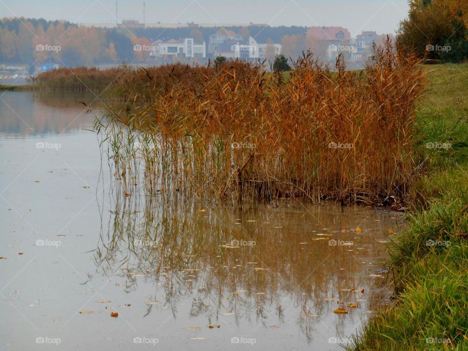 Water, No Person, Fall, Reflection, Landscape