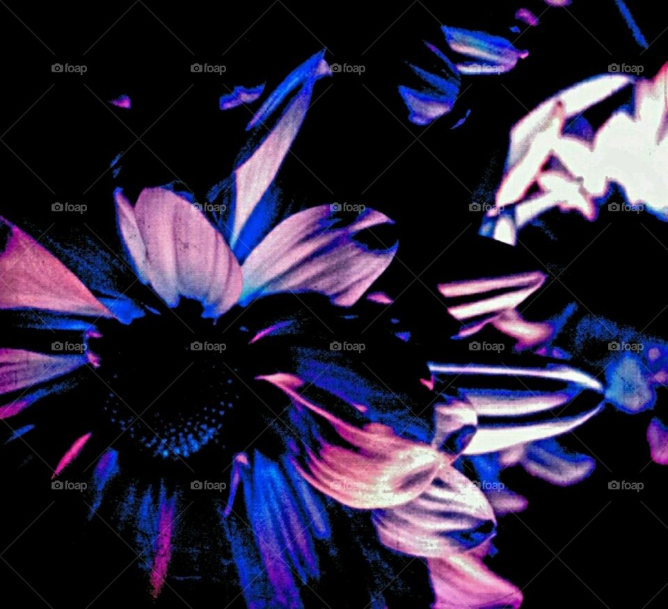 imagination. lighting effects