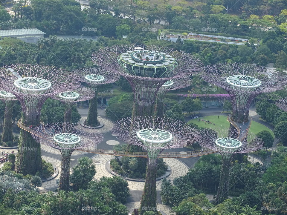Garden by the bay from sky View