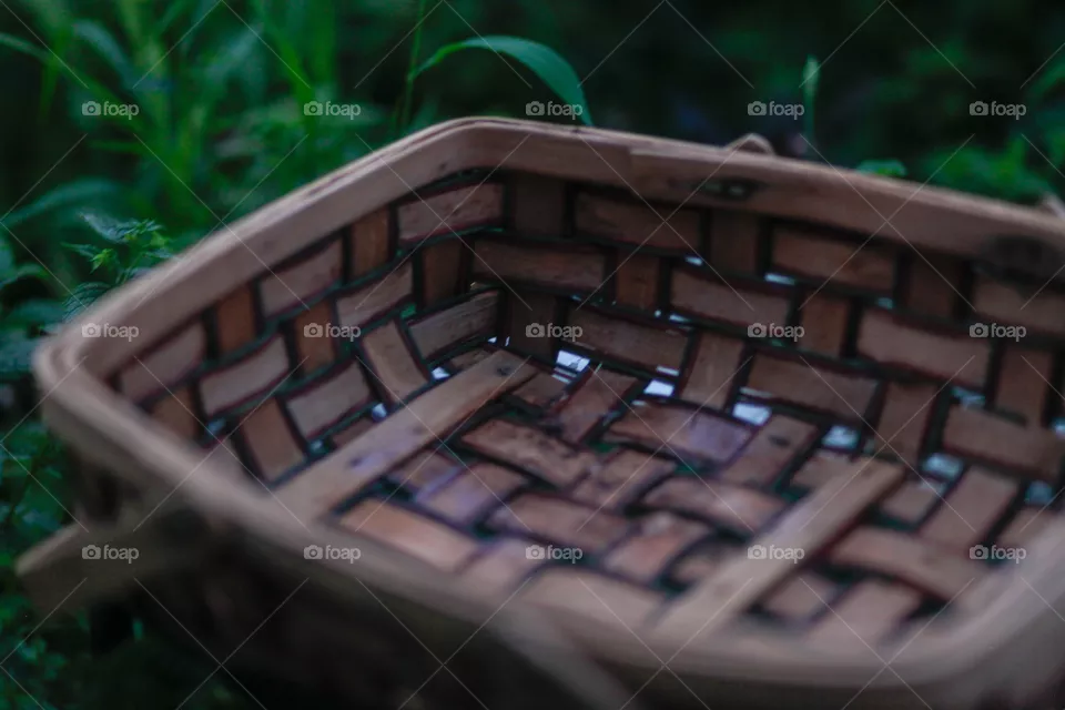 Empty basket in the garden waiting for the harvest 