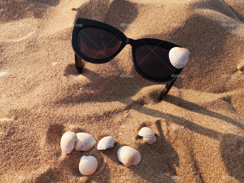 Sunglasses in the sand, decorated with shells.  Summer inspires us