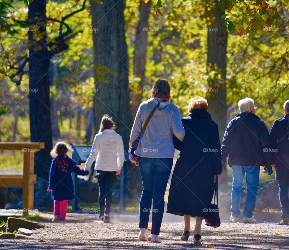 Autumn Walk