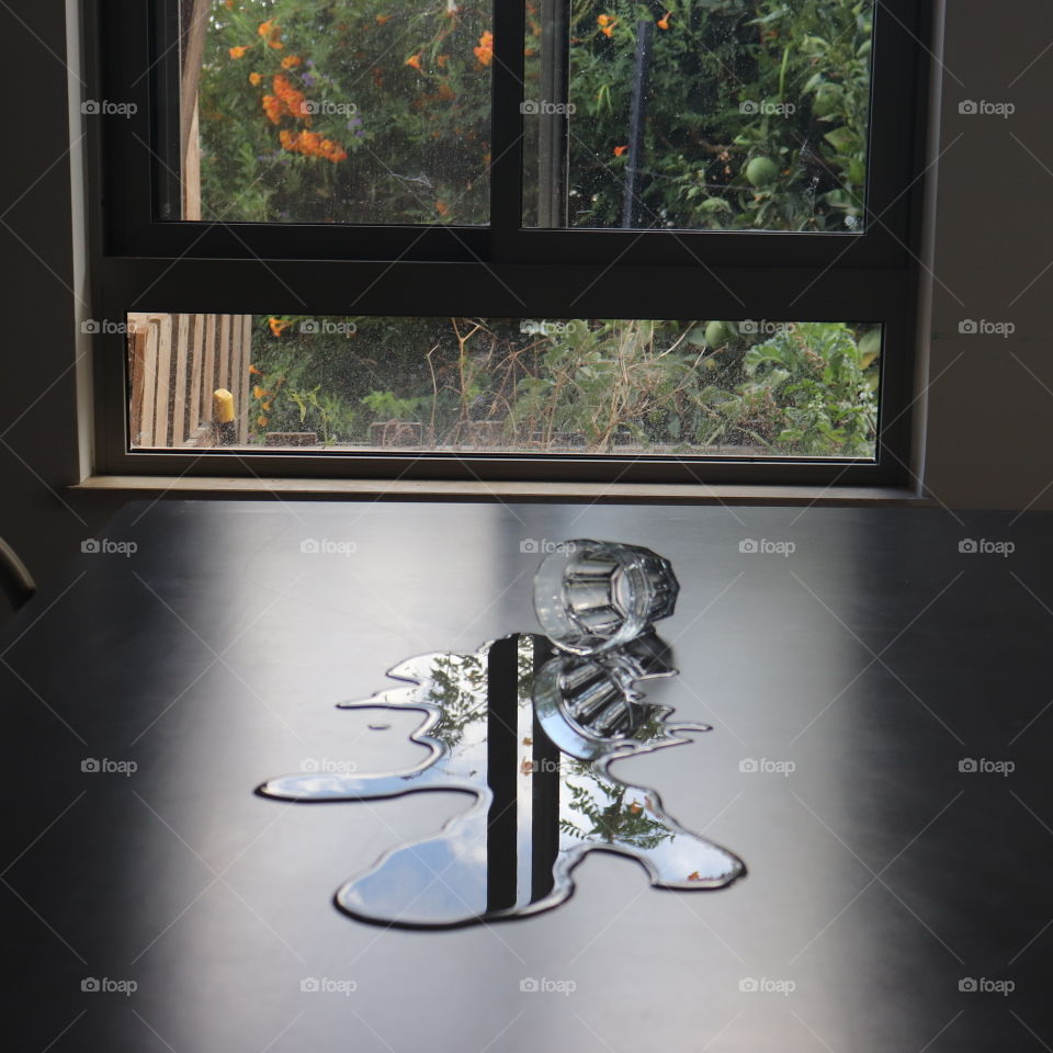 Glass cup, plants and a window reflecting on water 