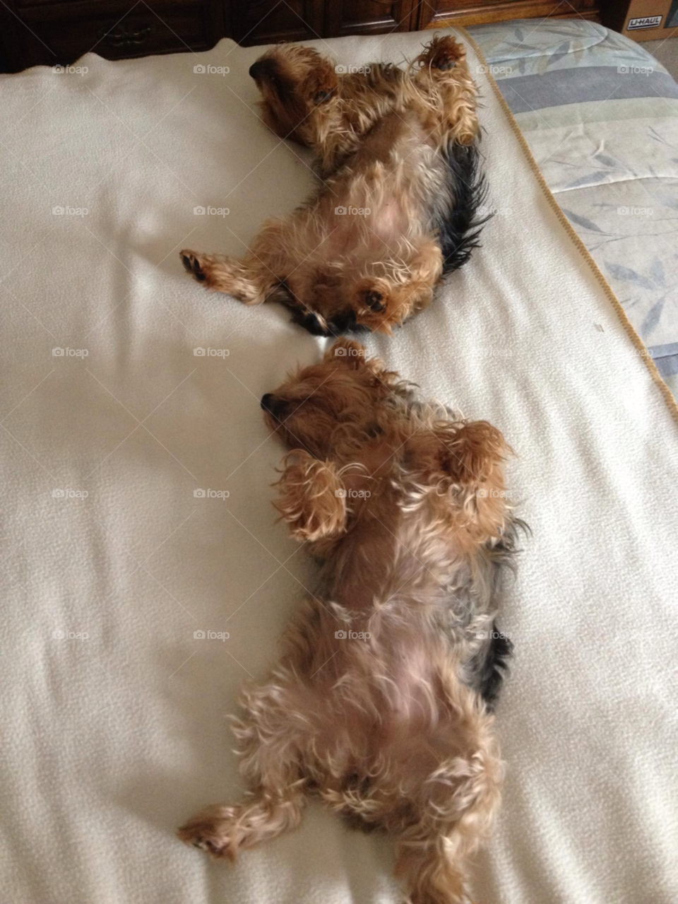 happy outdoors black play by stevehardley7