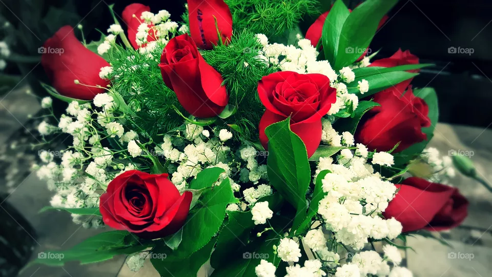 Roses