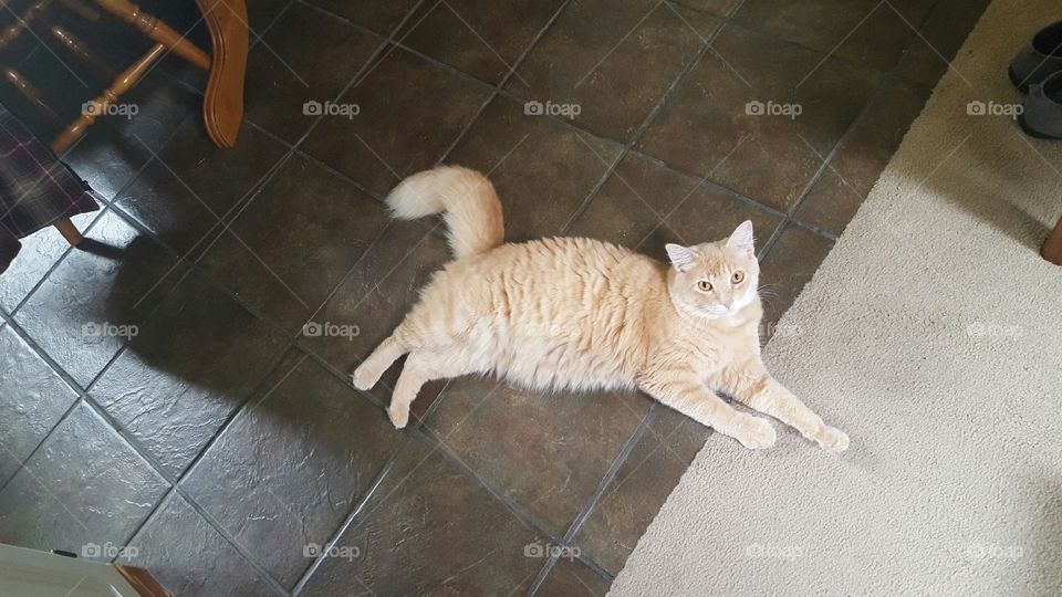 "pay attention to me"