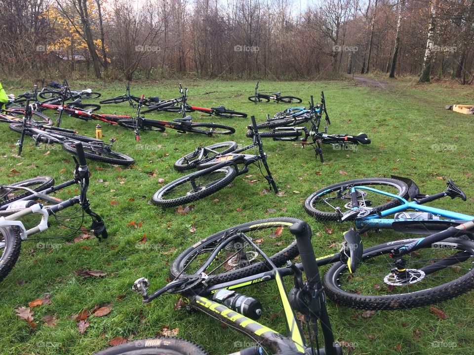 Grass, Tree, Wheel, No Person, Landscape