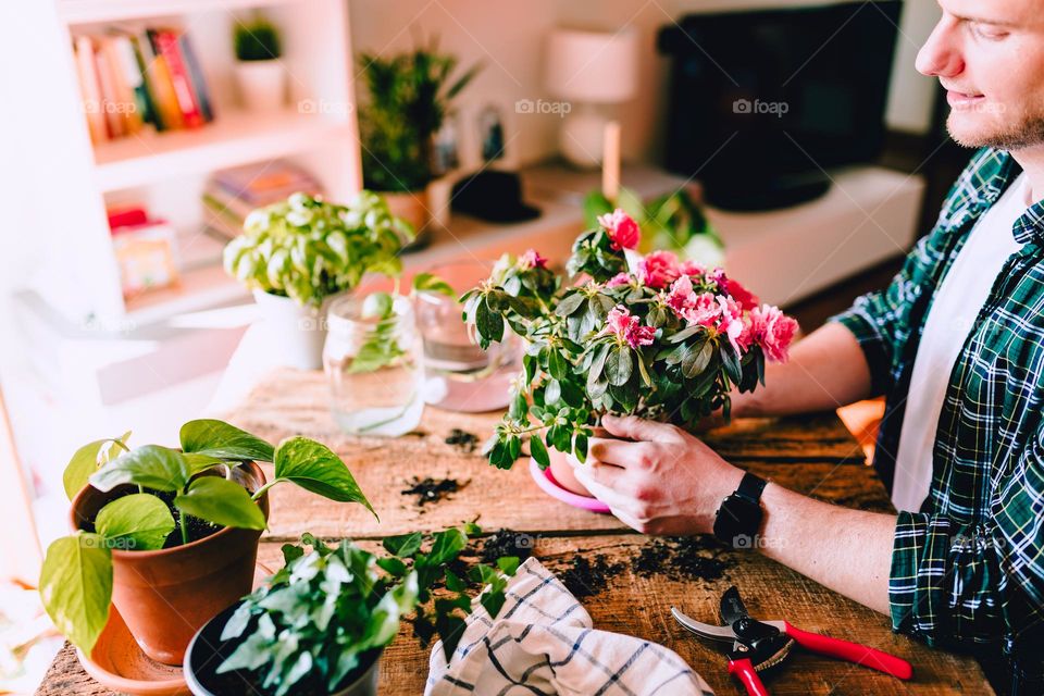 Flowers in a vase