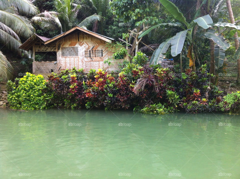 loboc river bohol philippines idillic or what so peaceful by martin.dickson.3