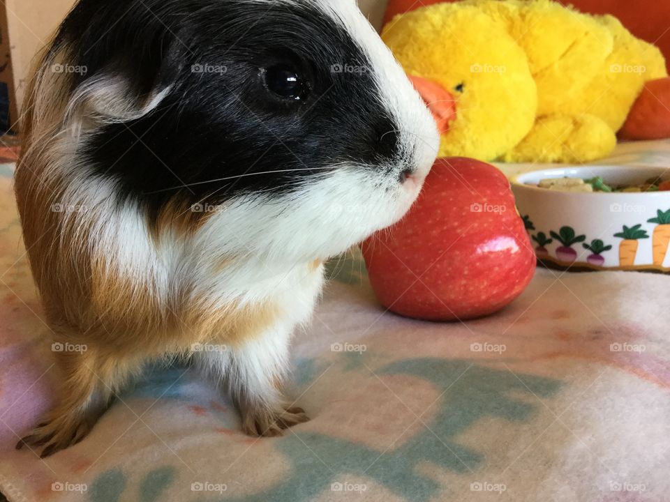 Jonathan having a selfie , looking cute  